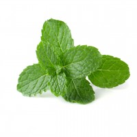 Organic Mint 200g product thumbnail 2