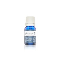 aminas Organic Eucalyptus Oil 10ml product thumbnail 2