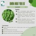 Organic Rosemary 200g