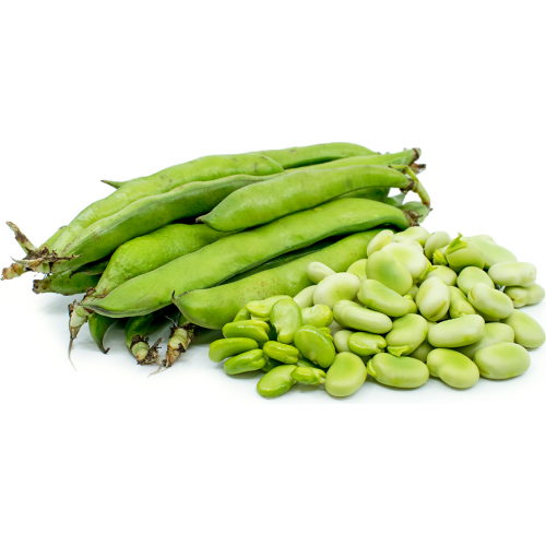 Organic Local Fava Beans 200g