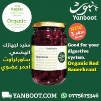 Yanboot Organic Red Sauerkraut 300ml product thumbnail 3