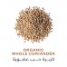 HOLISTIC CORNER Organic Whole Coriander 40g 