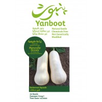 Butternut Squash Seeds product thumbnail 3