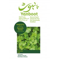 Coriander Seeds product thumbnail 3