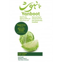 Green Cabbage Seeds product thumbnail 3