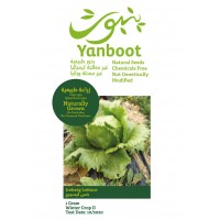 Iceberg Lettuce Seeds product thumbnail 3