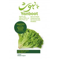 Lollo Bionda Lettuce Seeds product thumbnail 3