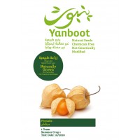 Physalis Seeds product thumbnail 3