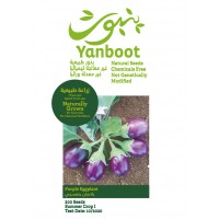 Purple Eggplant Seeds product thumbnail 3