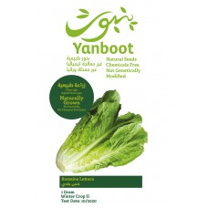 Romaine Lettuce Seeds