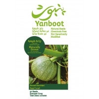 Round Zucchini Seeds product thumbnail 3