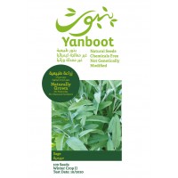 Sage seeds product thumbnail 3