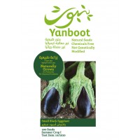Small Black Eggplant Seeds product thumbnail 3