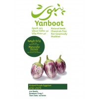 Stripped Eggplant Seeds product thumbnail 3