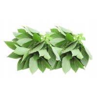 Organic Mulukhiyah 500g product thumbnail 2