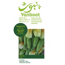 Zucchini Seeds