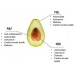 Organic Avocado Hass/500g