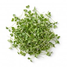 Micro Cress/Pack 