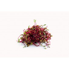 Micro Beetroot/Pack 