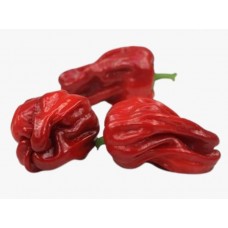 Organic Small Red Bell pepper/500g