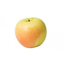 Organic Anna Apple/500g