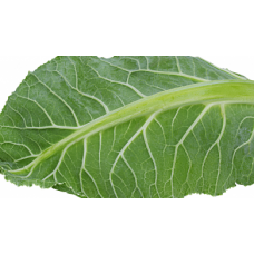 Organic Local Kale /200g