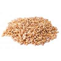 Whole Wheat product thumbnail 2