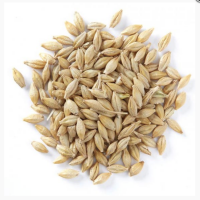 Barley product thumbnail 2