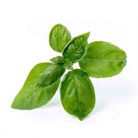 Organic Green Basil 200g product thumbnail 2