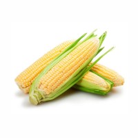 Organic Corn 500g product thumbnail 2